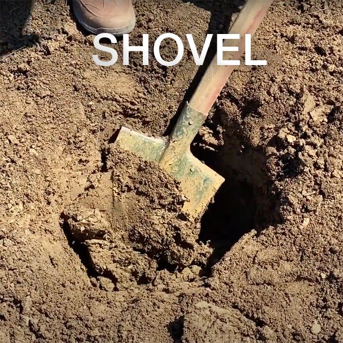 изкопаване на дупки за орехови фиданки с лопата