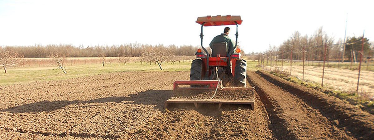 A tractor working a seedbed into prepared rows on the nursery field, with a young orchard behind