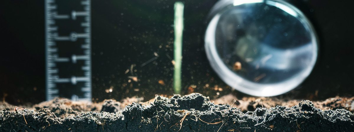 A magnifying glass held over a soil profile with a ruler for scale, showing the layered structure beneath the surface