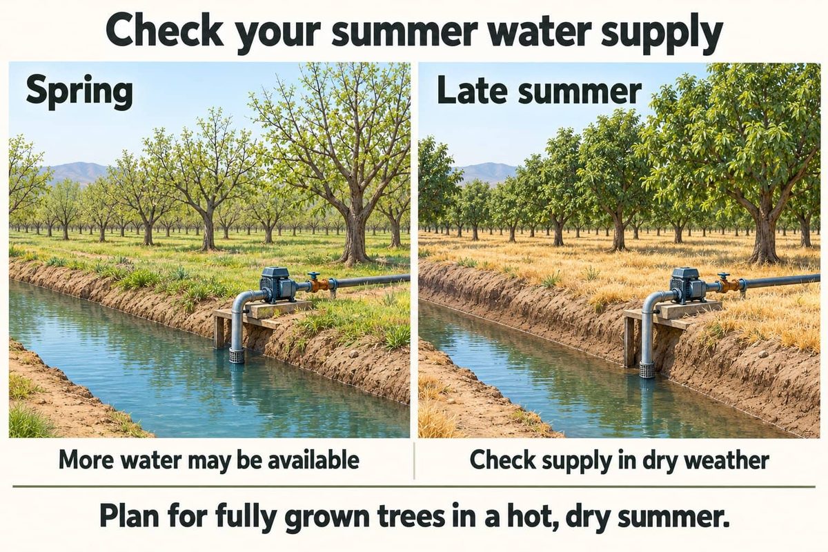 Two views of the same irrigation canal and pump beside a walnut orchard. In spring the canal is full and more water may be available. In late summer the water is lower, so check the supply in dry weather.