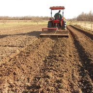 Land being prepared for a new walnut orchard