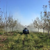 A tractor spraying a mature, bearing walnut orchard