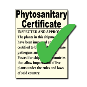 phytosanitary certificate
